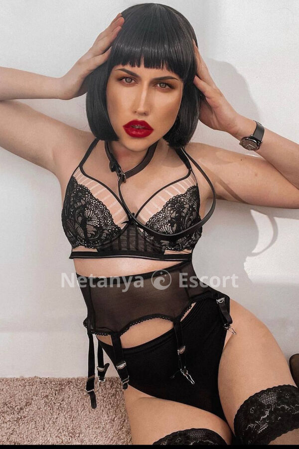 Violla